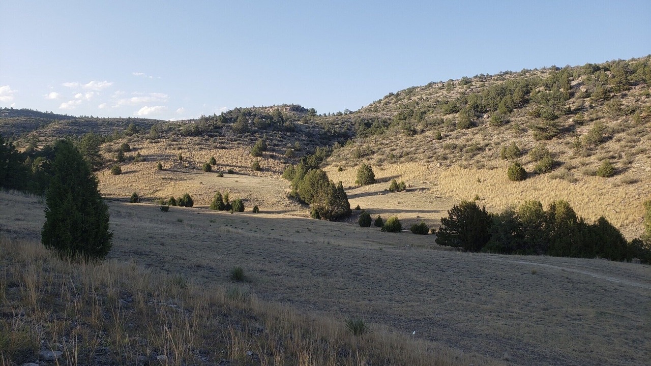 Photo of Outdoor in Platte County