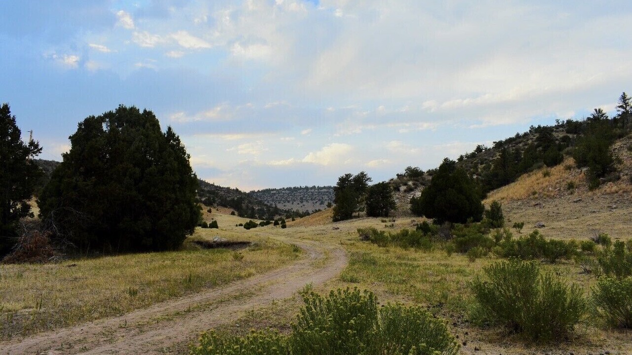 Photo of Outdoor in Platte County