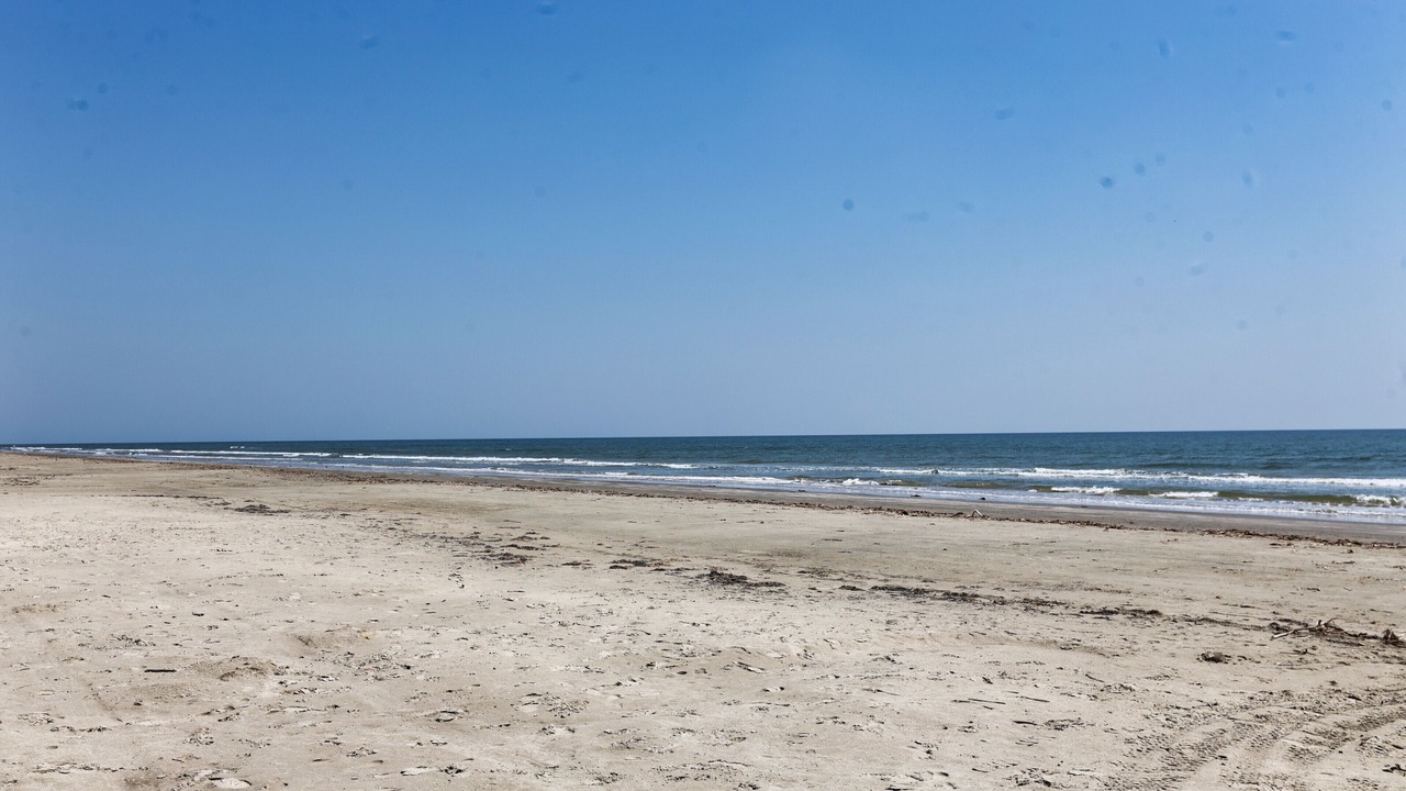 Photo of Others in Galveston