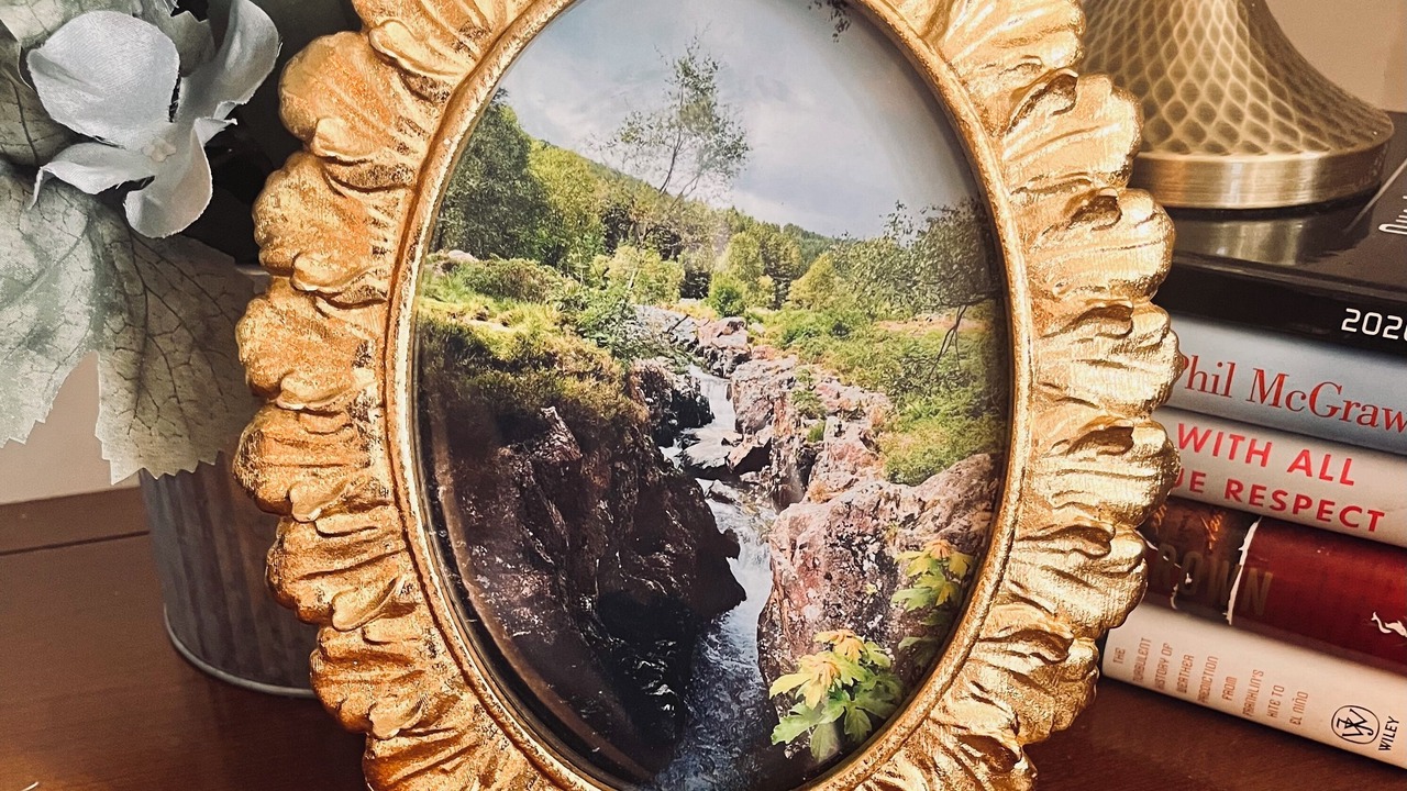 Photo of Others in Shinglehouse