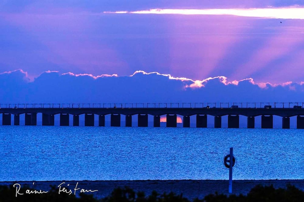 Photo of Others in Nyborg