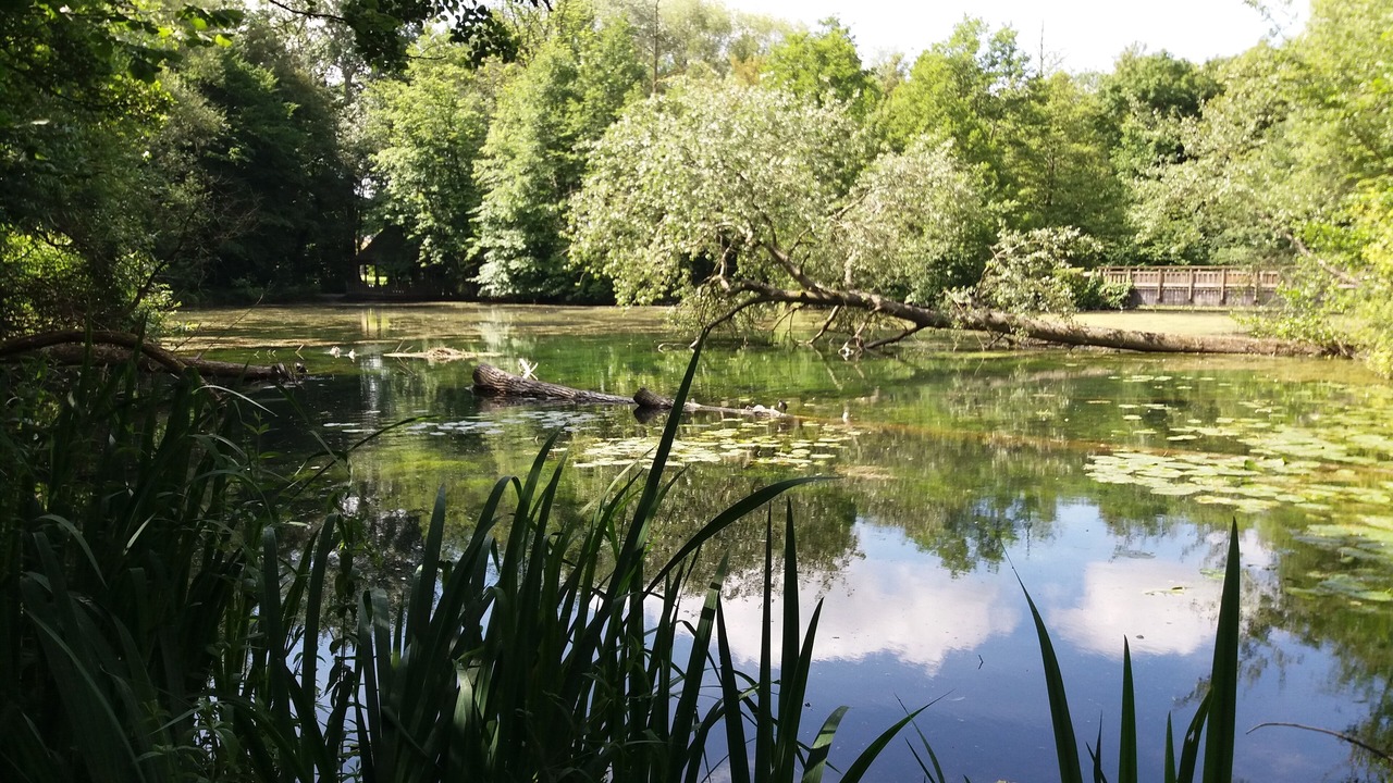Photo of Outdoor in Buigny-Saint-Maclou