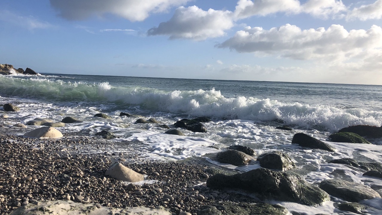 Photo of Others in Portland