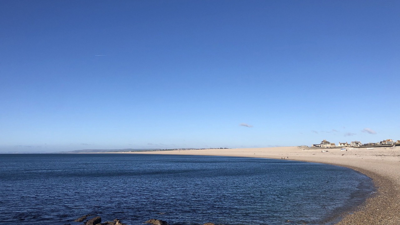 Photo of Others in Portland