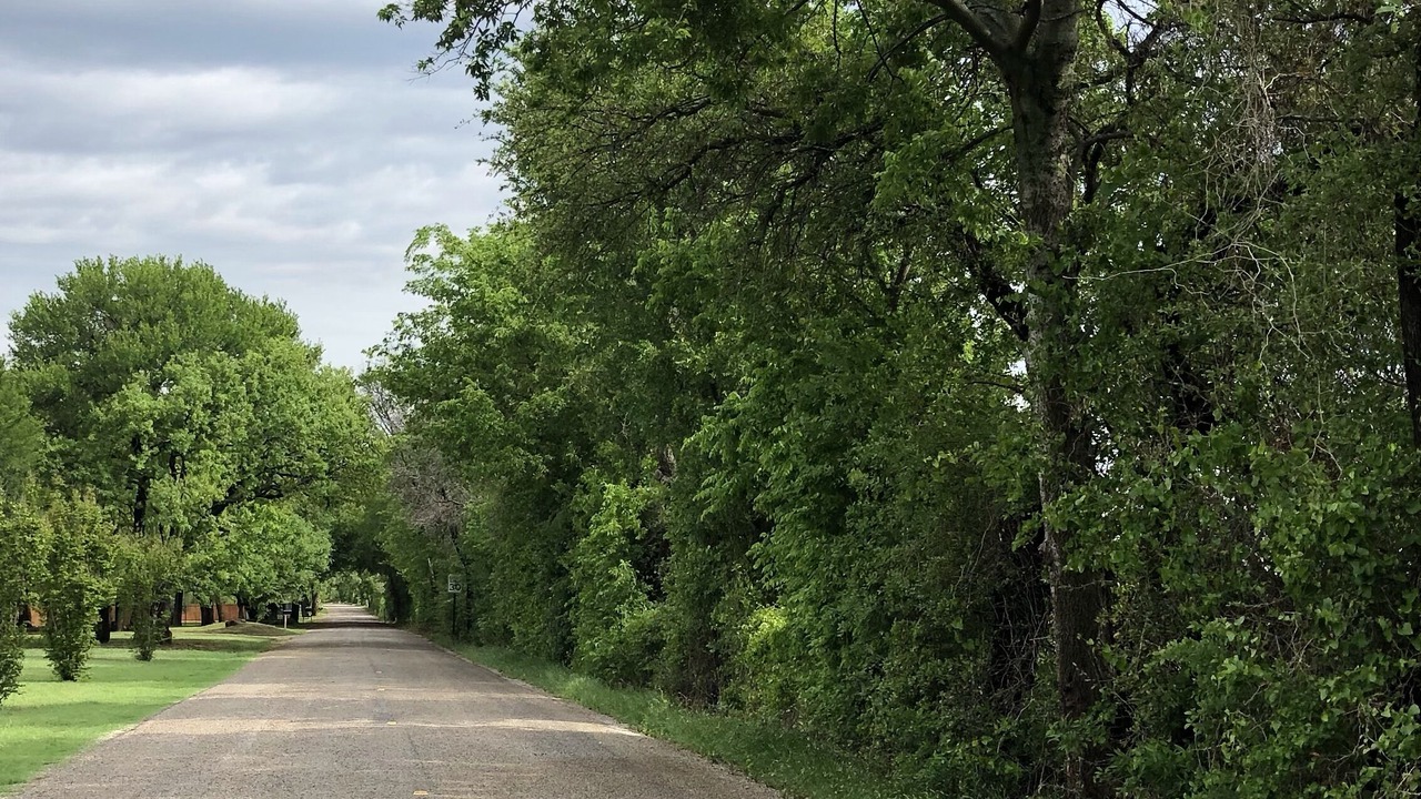Photo of Outdoor in Dennis