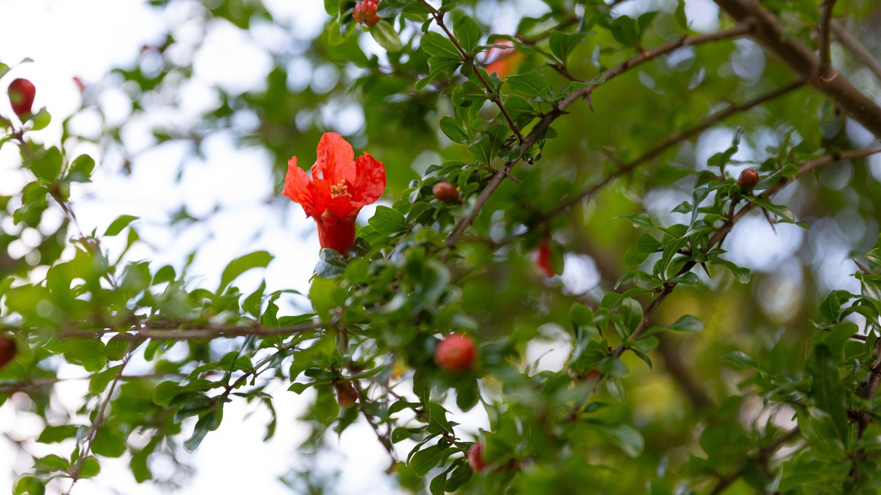 Photo of Others in Upwey