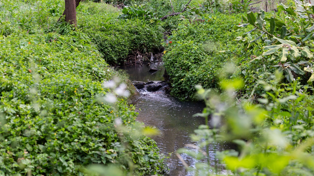 Photo of Outdoor in Upwey