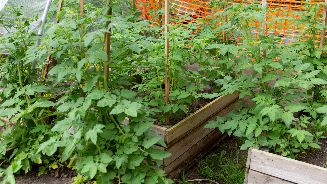 Photo of Outdoor in Upwey