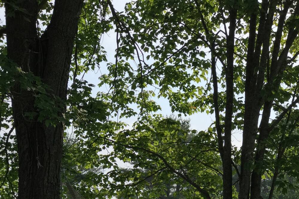 Photo of Outdoor in Freeport