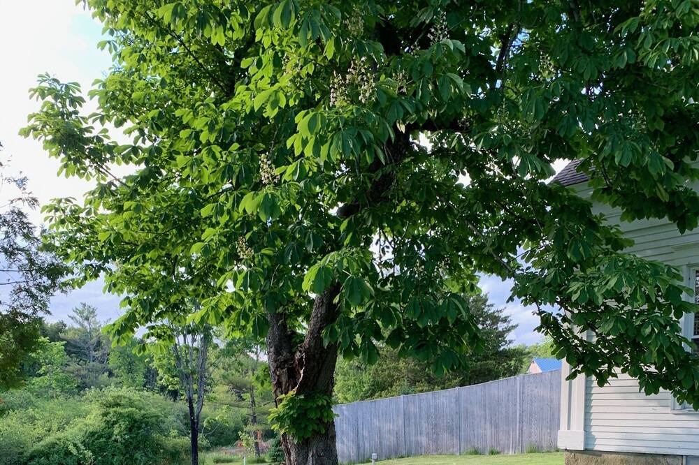 Photo of Outdoor in Freeport