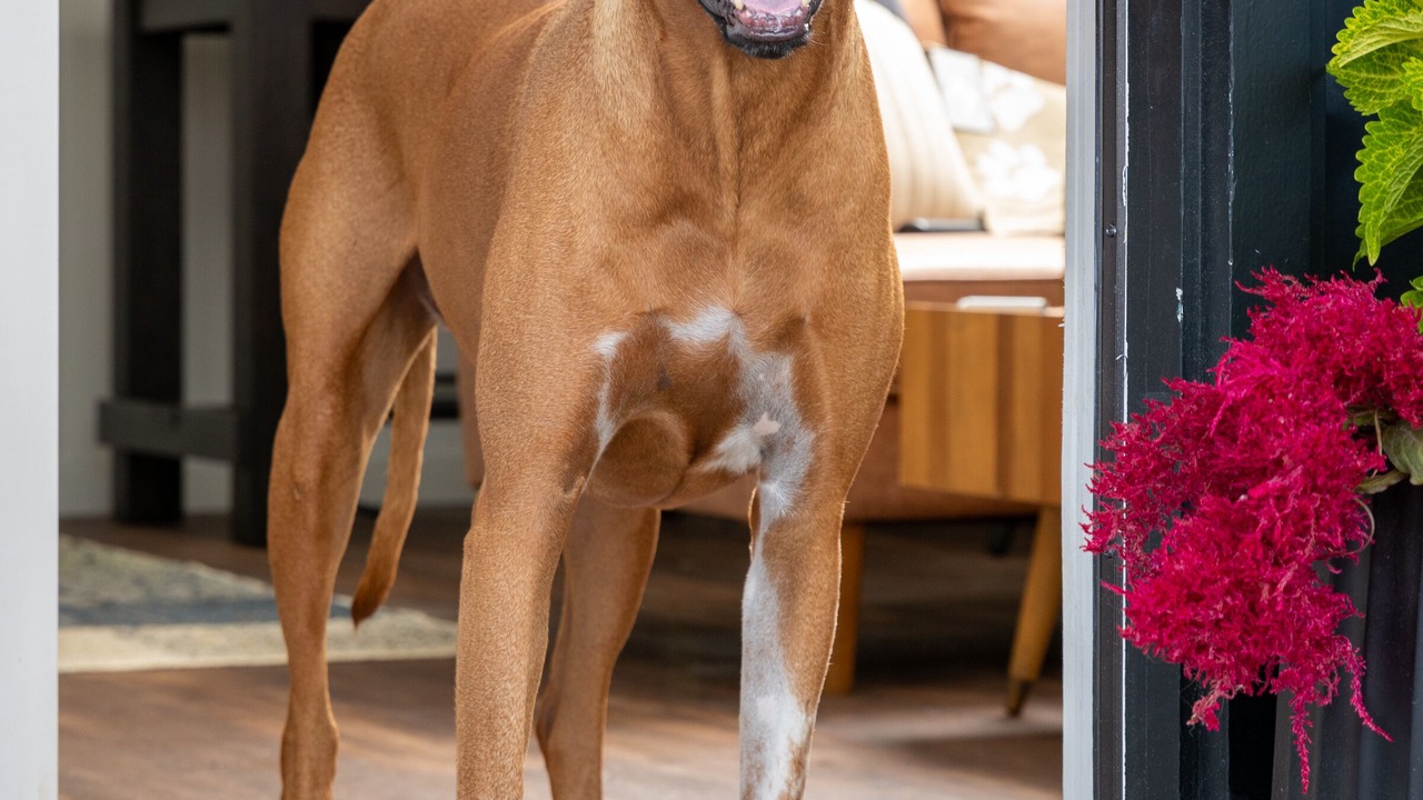 Photo of Others in Copake