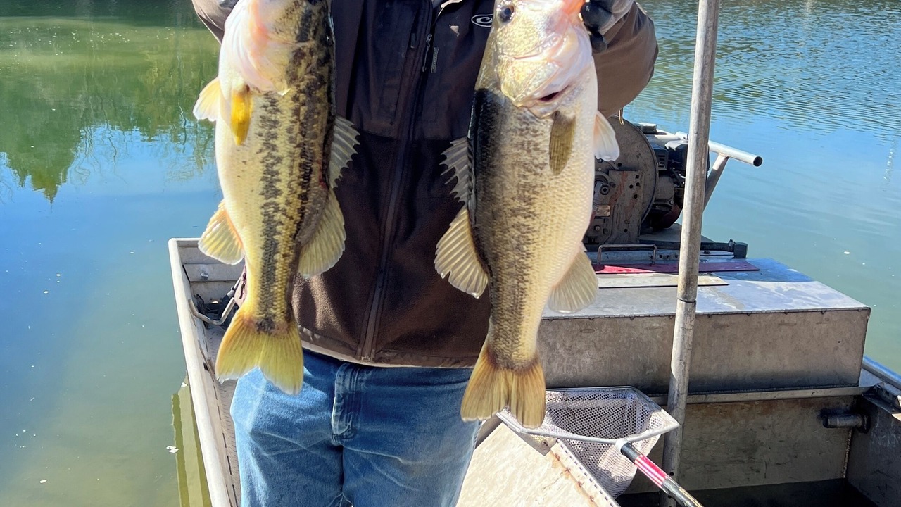 Photo of Others in Jacksboro