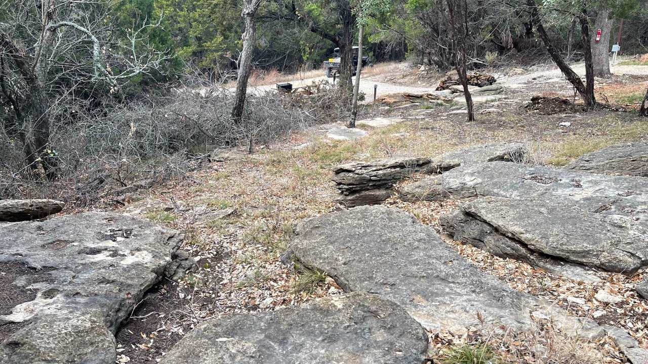 Photo of Outdoor in Jacksboro