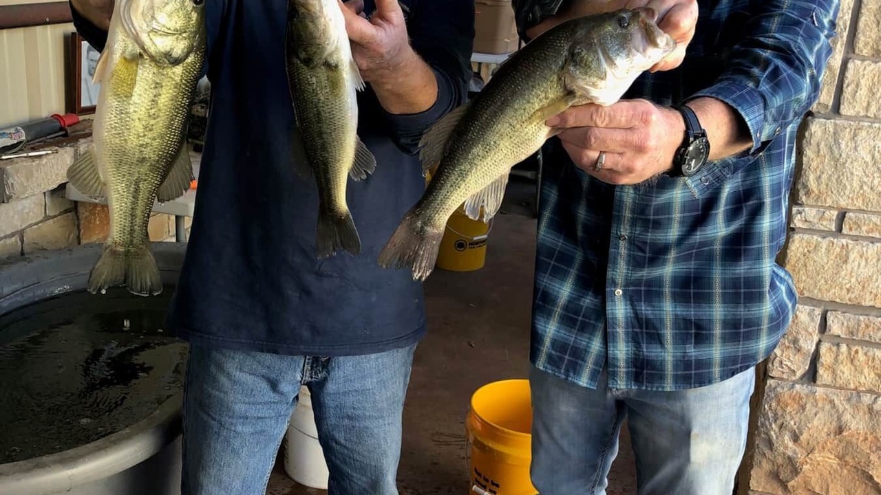 Photo of Others in Jacksboro