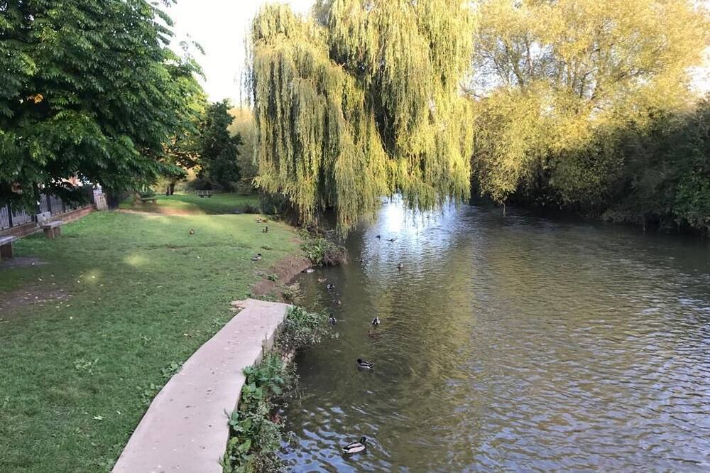 Photo of Outdoor in Cobham