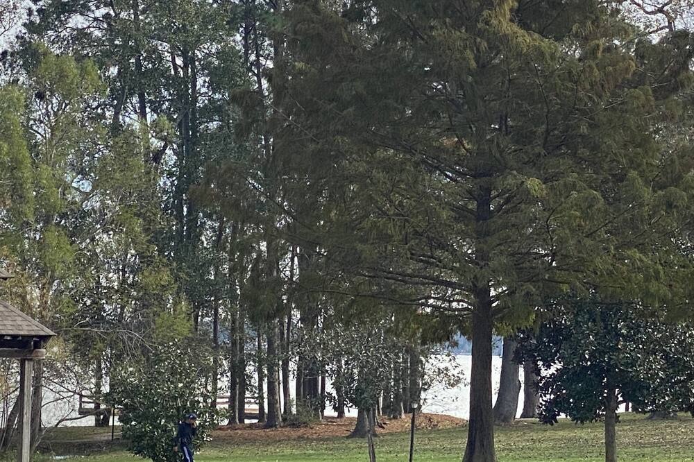 Photo of Outdoor in Atascocita