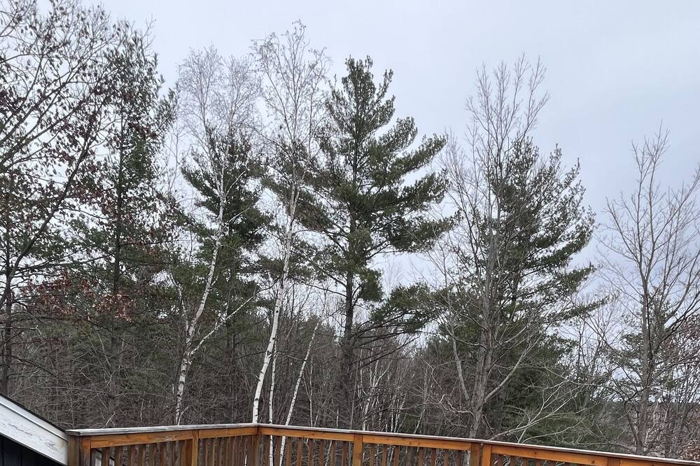 Photo of Outdoor in Greater Madawaska