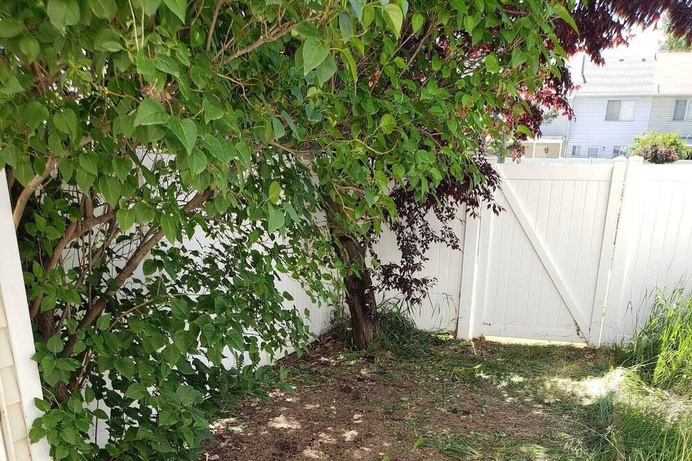 Photo of Outdoor in Orem