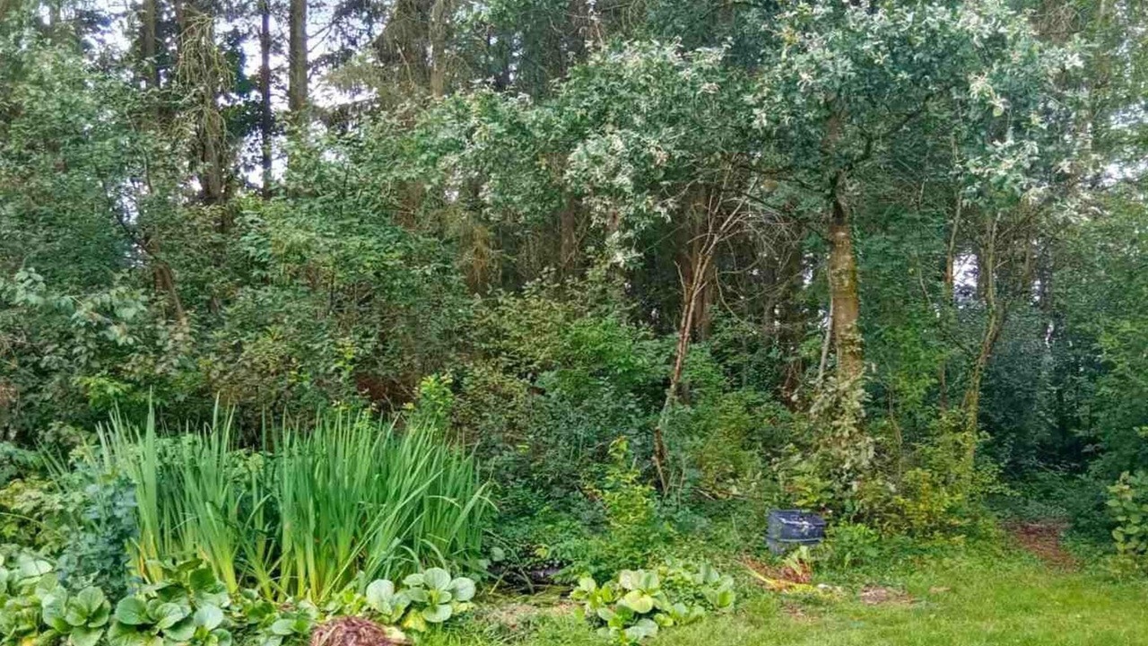 Photo of Outdoor in Bording