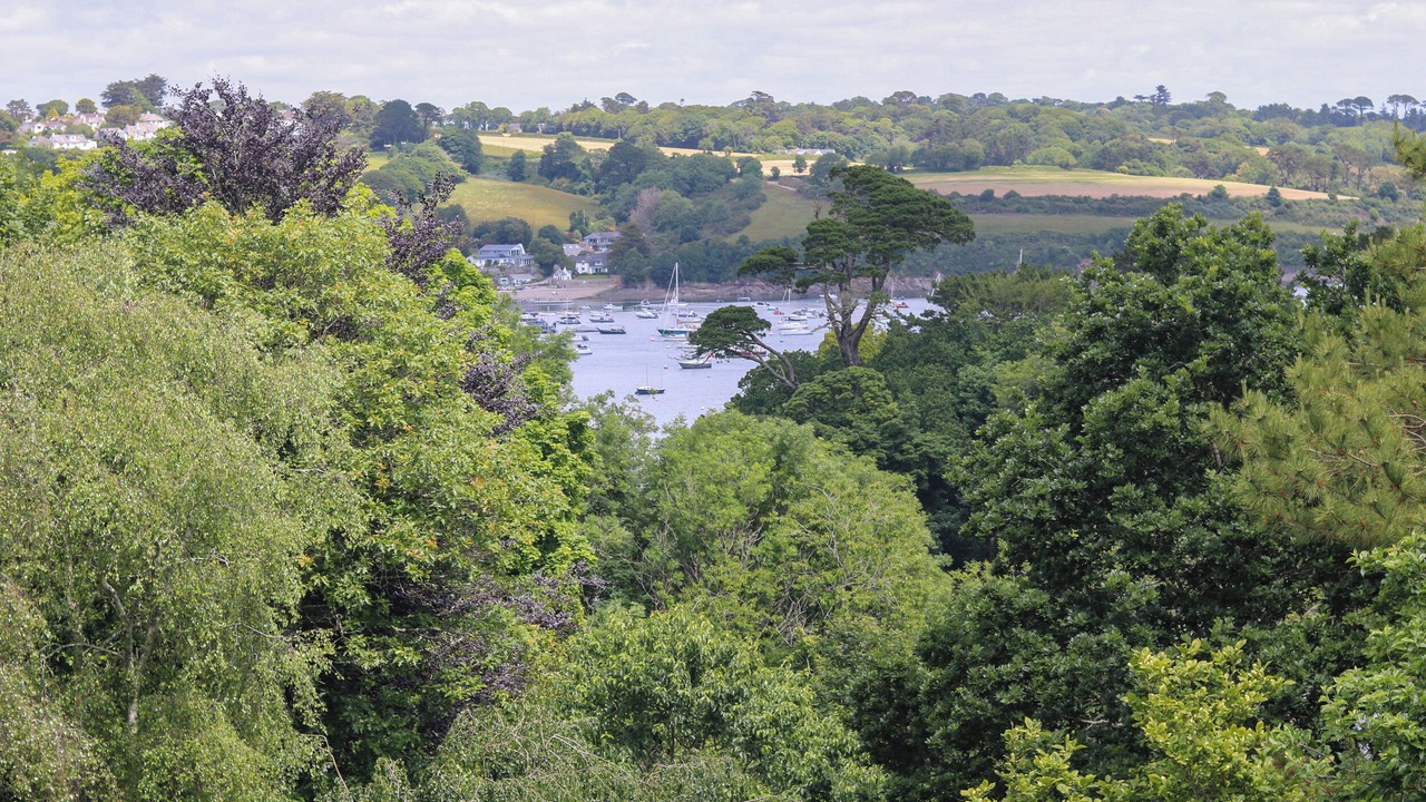 Photo of Others in Helford