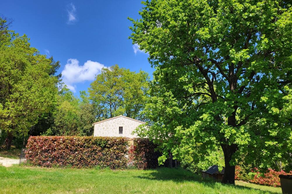 Photo of Outdoor in La Roquebrussanne