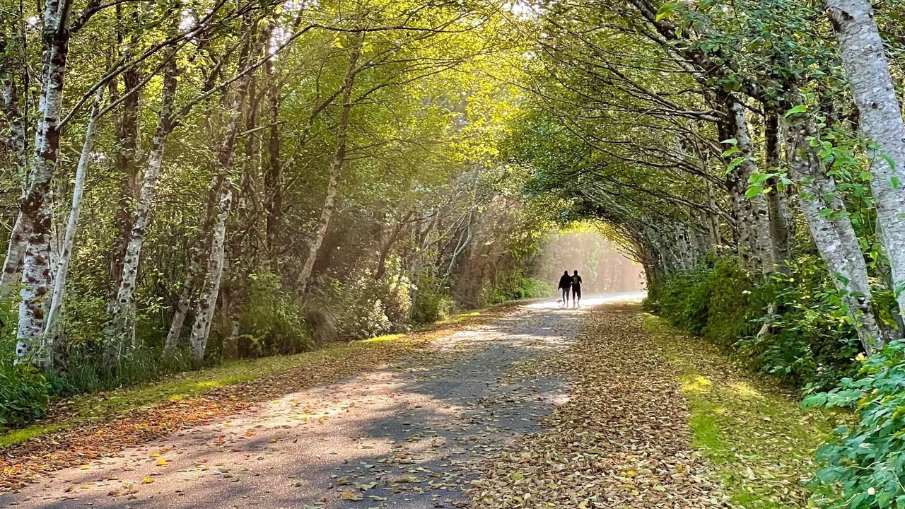 Photo of Outdoor in Grayland