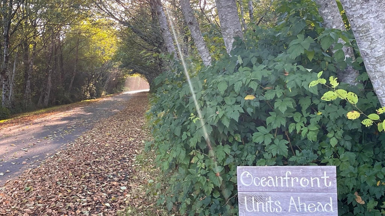 Photo of Outdoor in Grayland