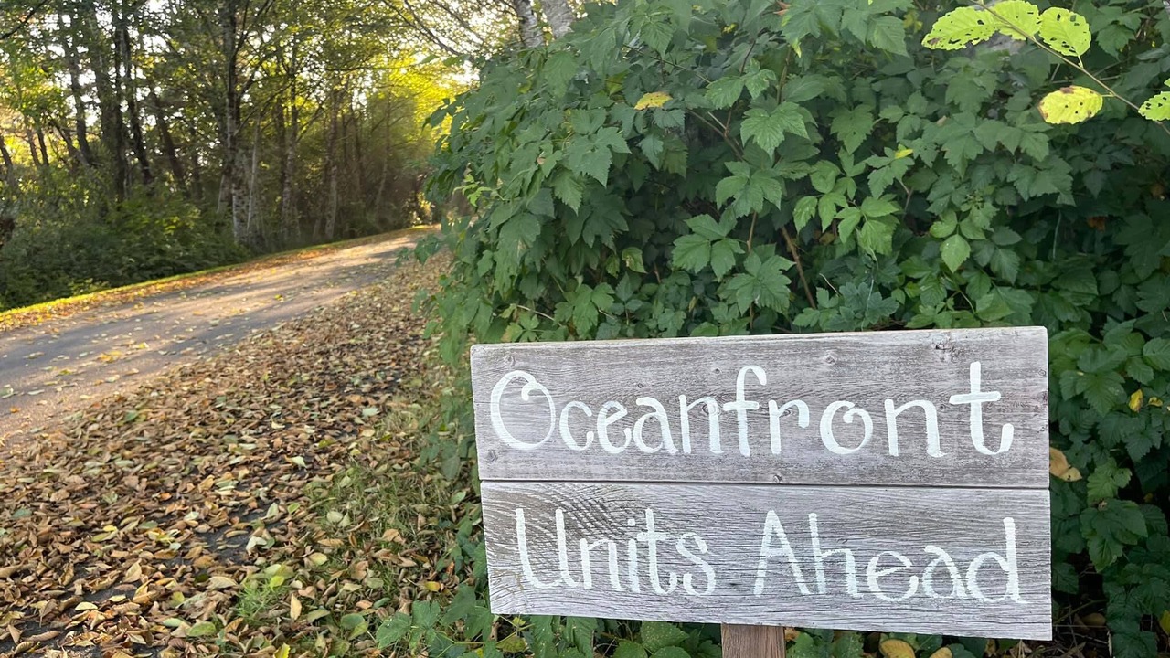 Photo of Outdoor in Grayland