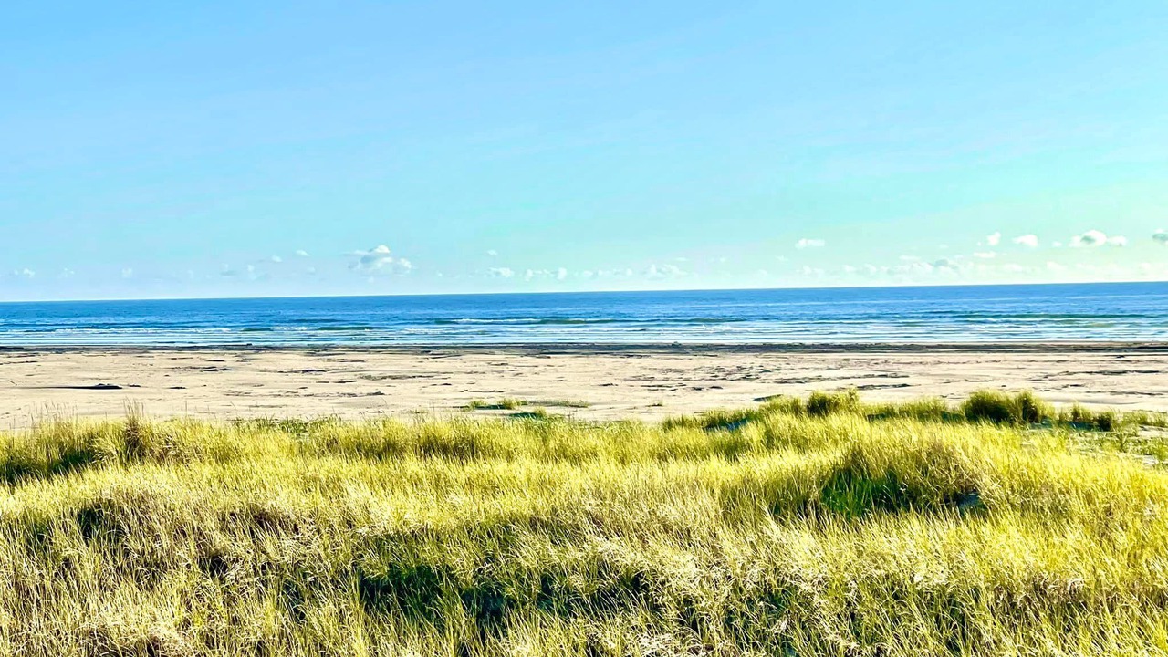 Photo of Others in Grayland