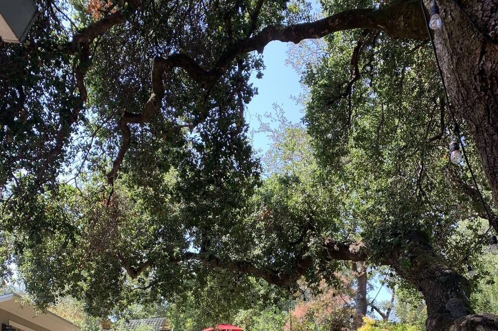 Photo of Outdoor in Fetters Hot Springs-Agua Caliente
