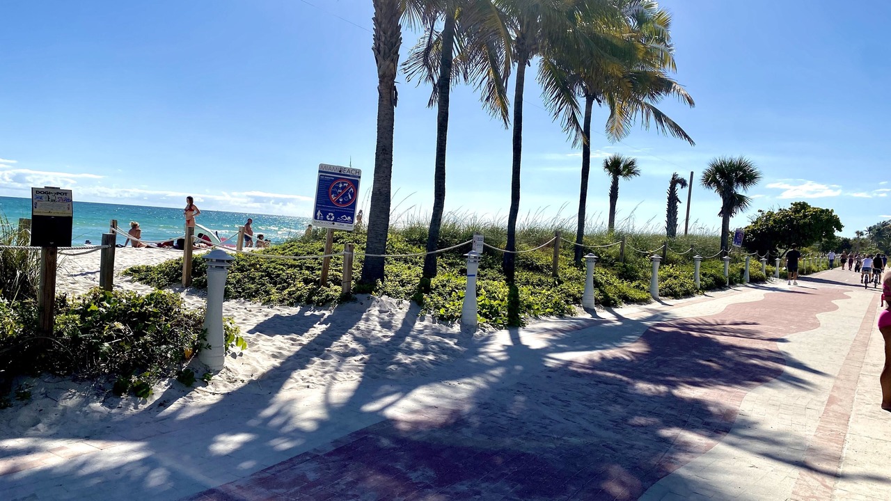 Photo of Outdoor in Mid Beach