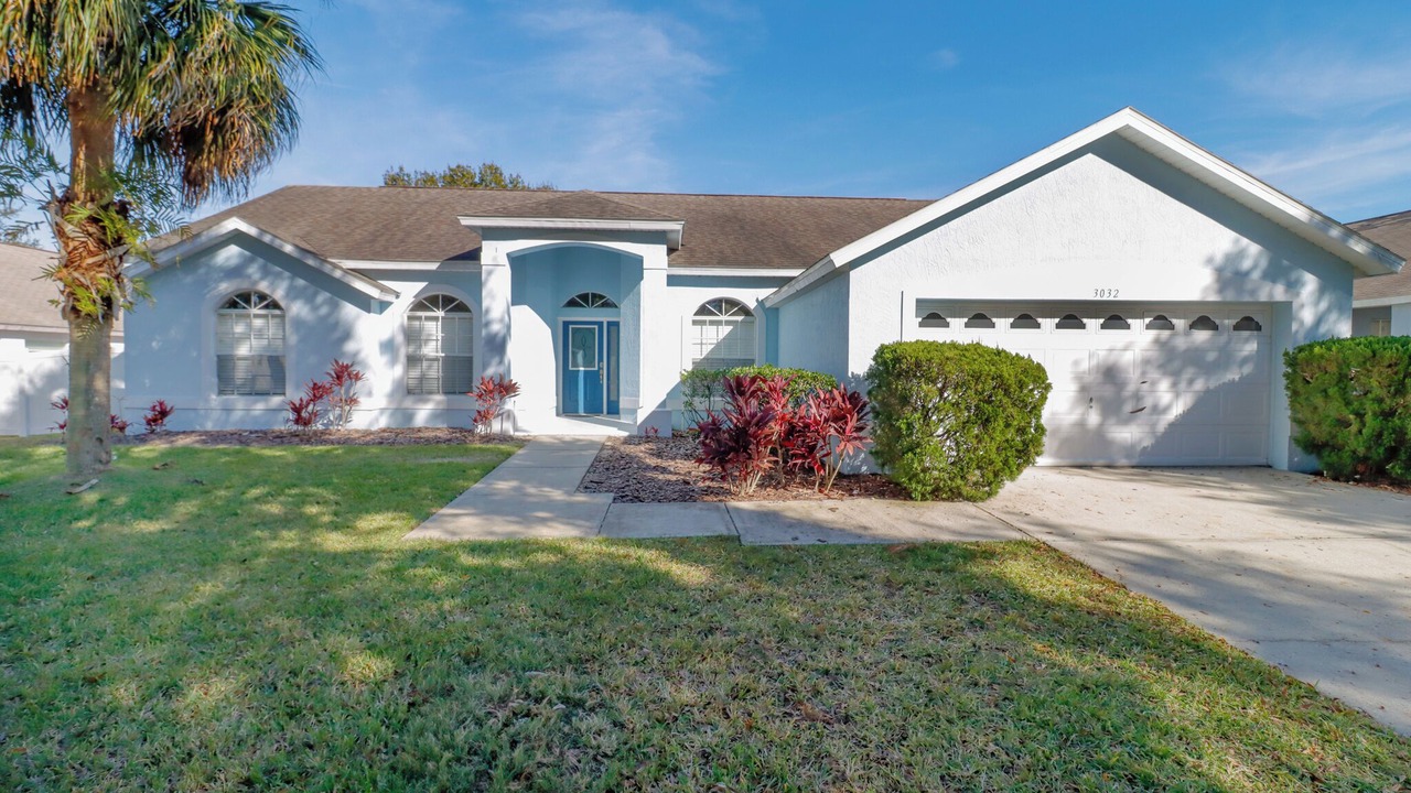 Photo of Outdoor in Orange Tree