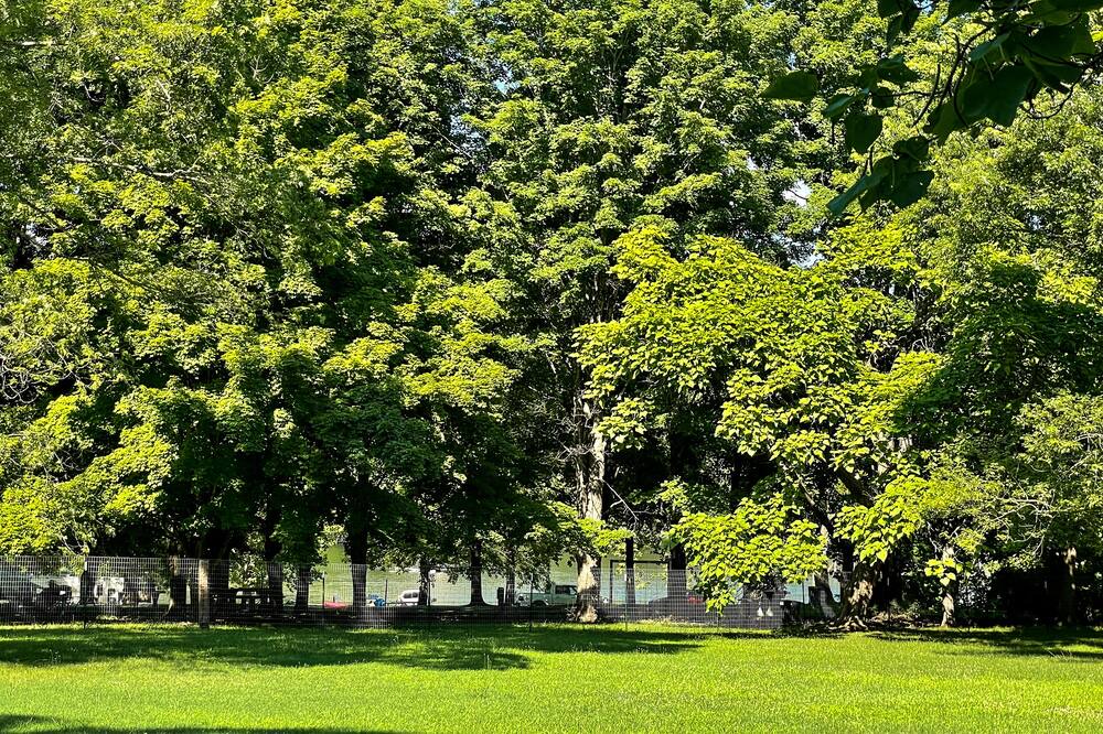 Photo of Outdoor in Holiday Island
