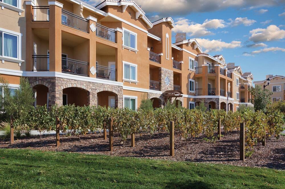 Photo of Outdoor in Napa