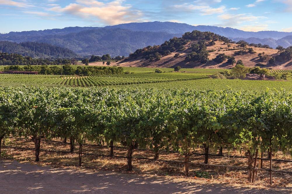 Photo of Outdoor in Napa