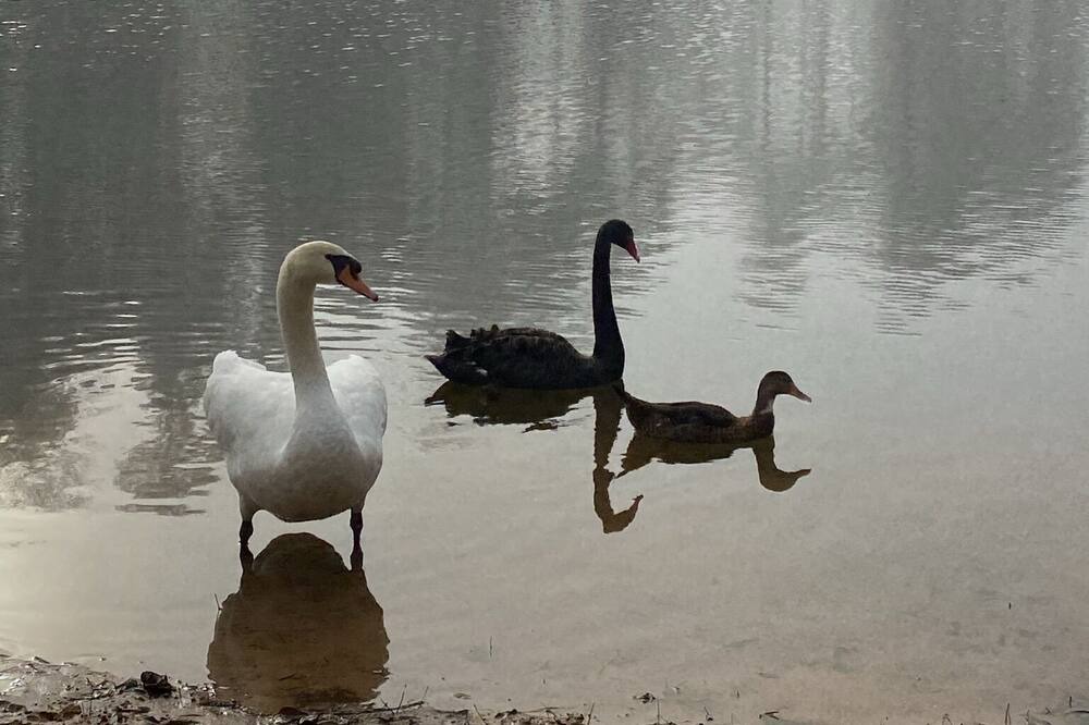 Photo of Others in Montgomery