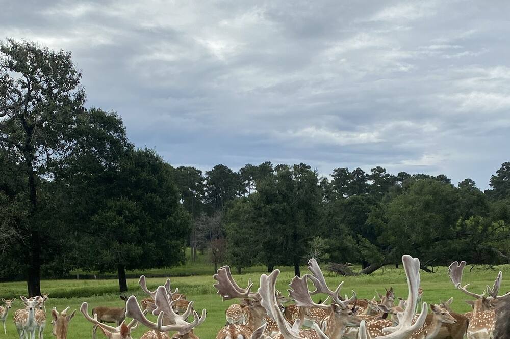 Photo of Outdoor in Montgomery