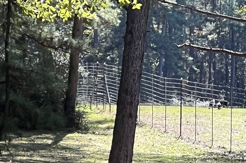 Photo of Outdoor in Montgomery