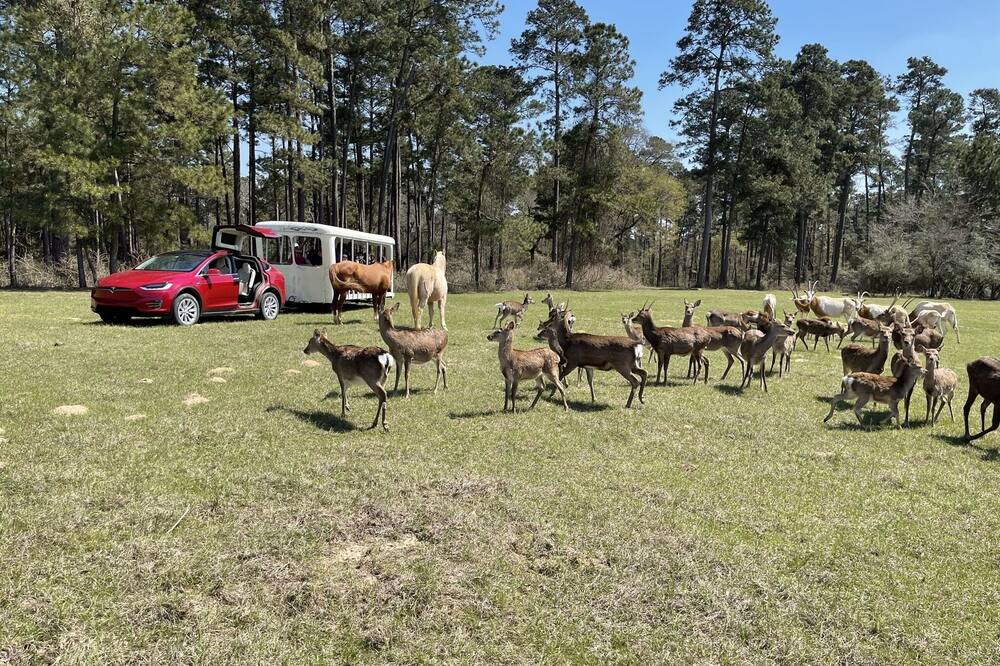 Photo of Others in Montgomery