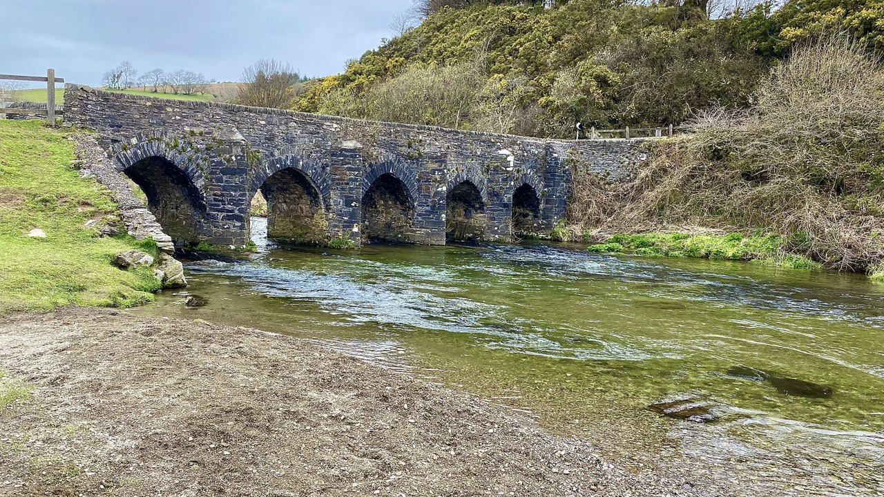 Photo of Others in South Molton