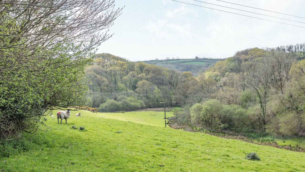 Photo of Others in South Molton