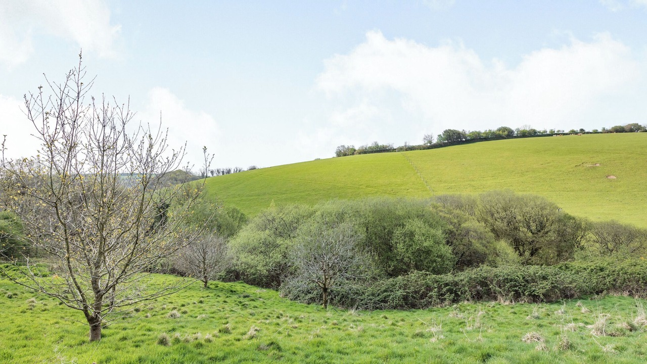 Photo of Others in South Molton