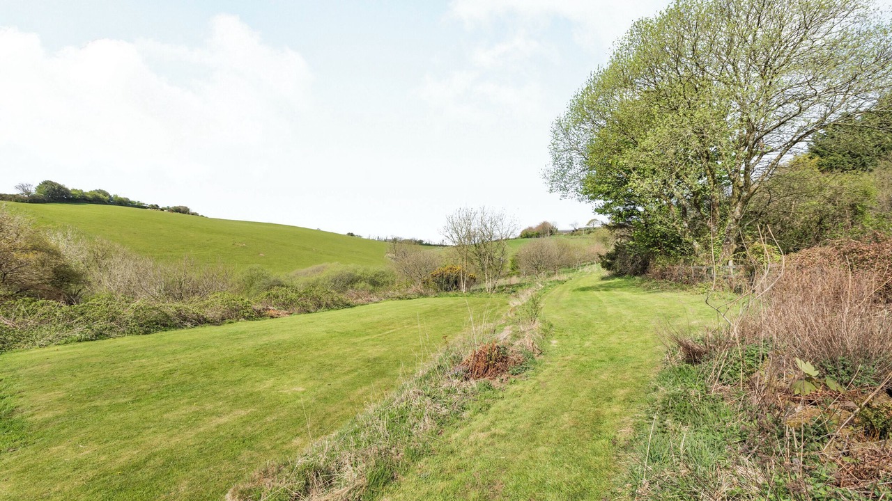 Photo of Others in South Molton