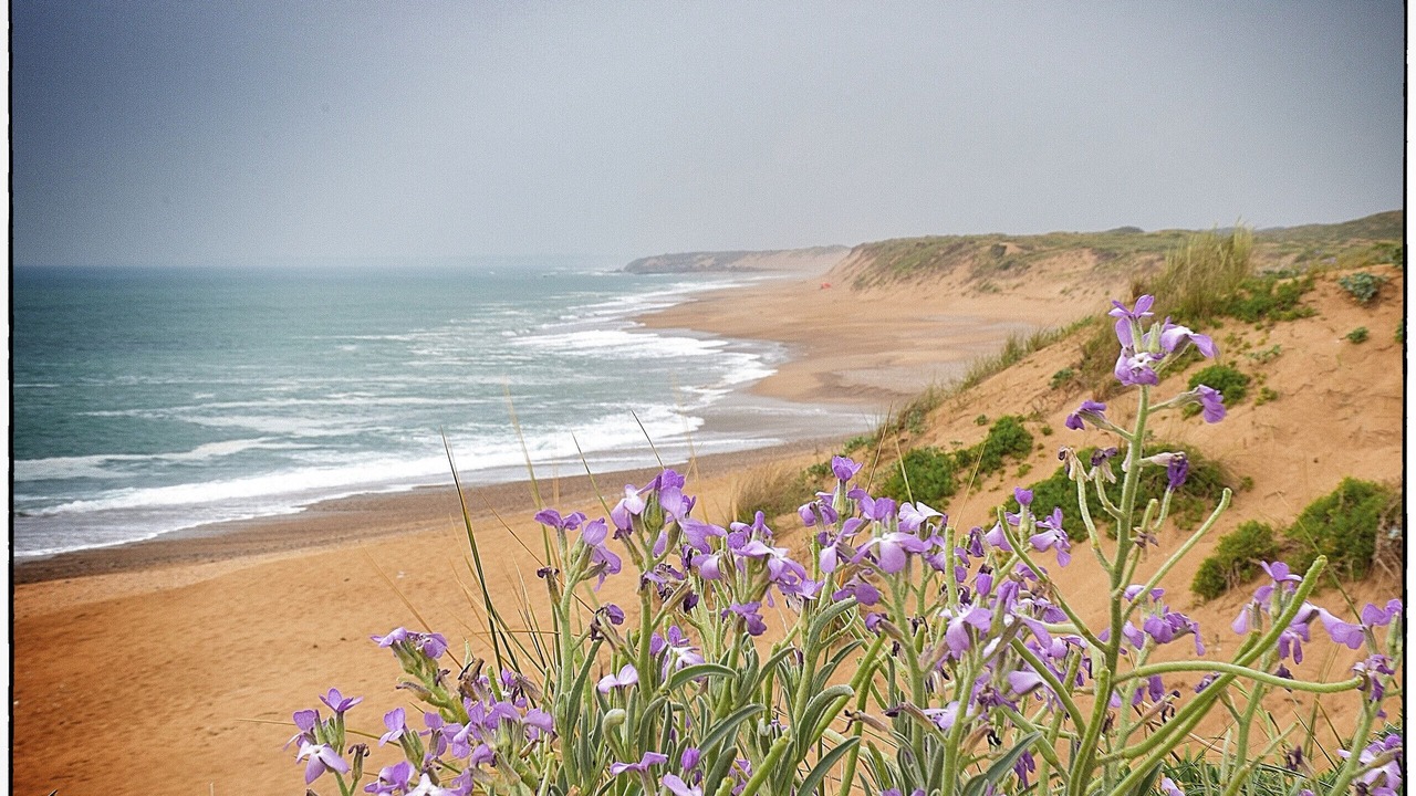 Photo of Others in Bourgenay