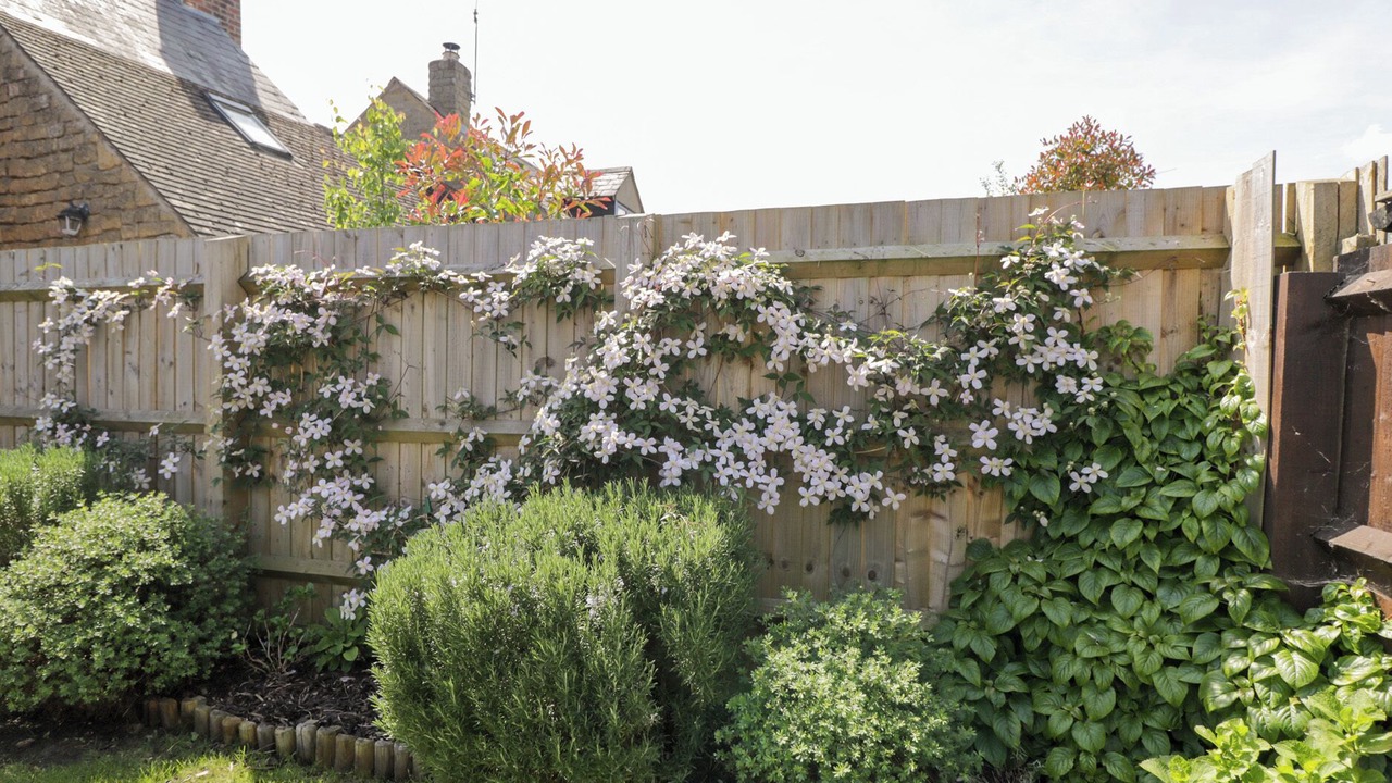 Photo of Others in Chipping Campden