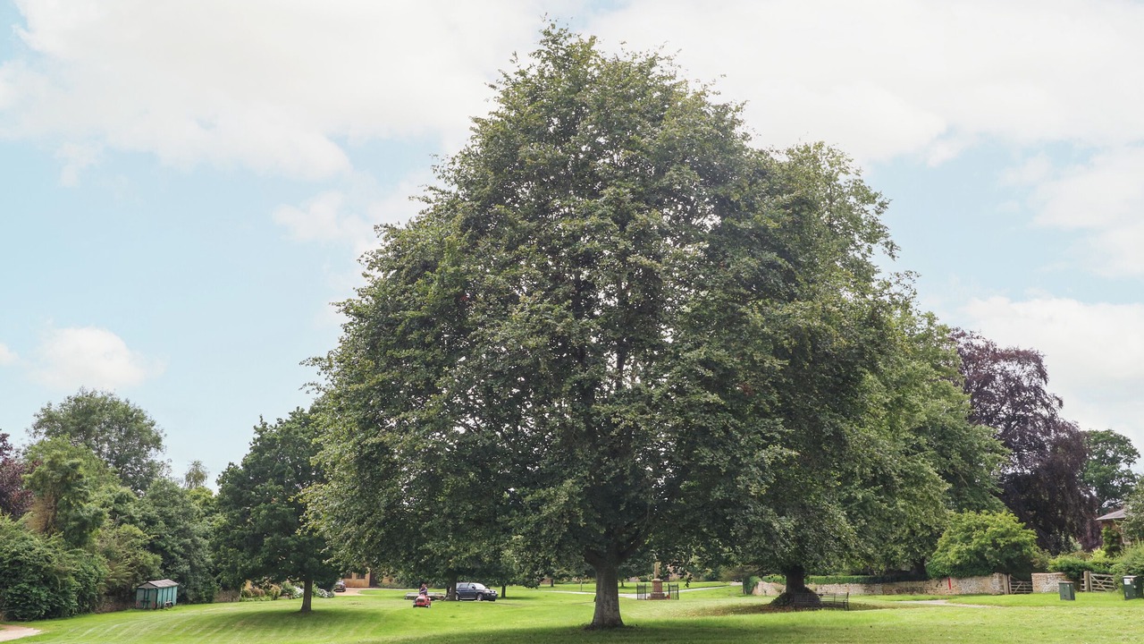 Photo of Others in Sibford Gower