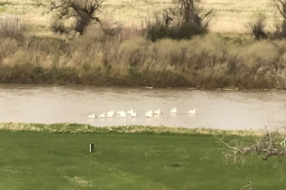 Photo of Others in Great Falls