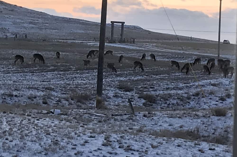 Photo of Others in Great Falls