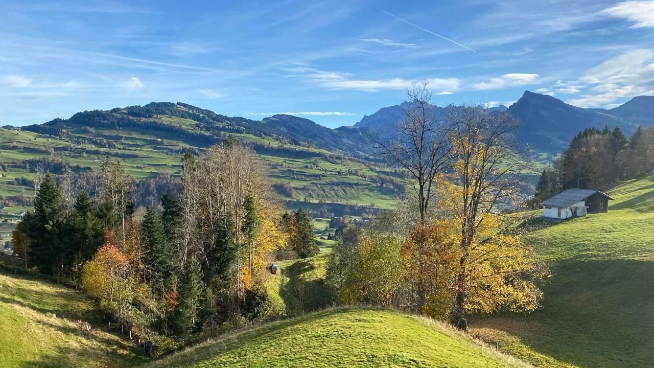 Photo of Others in Krummenau