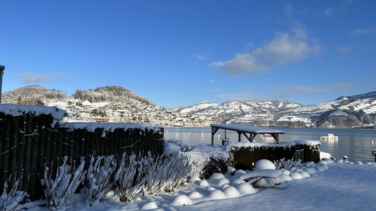 Photo of Outdoor in Faulensee